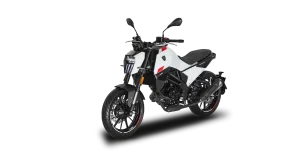 Renting PEUGEOT PM-01